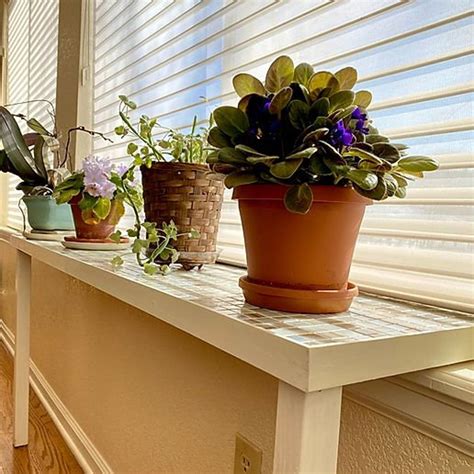 Plants windowsill. Things To Know About Plants windowsill. 
